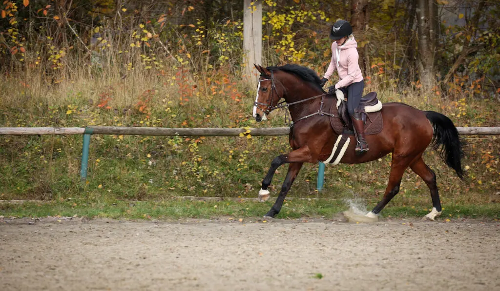 young girl practicing a technique for horse riding