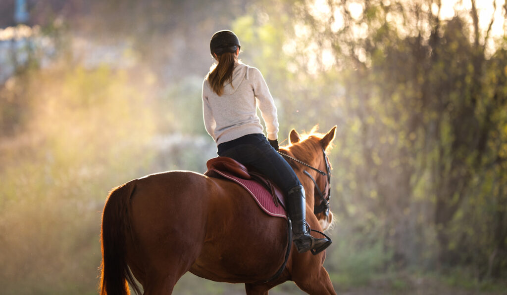 young girl riding a brown horse