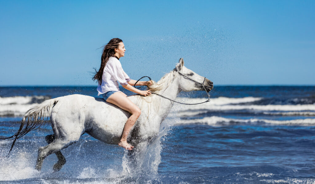 young girl riding a white horse at the beach
