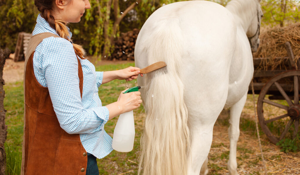 young lady brushing a horses tail